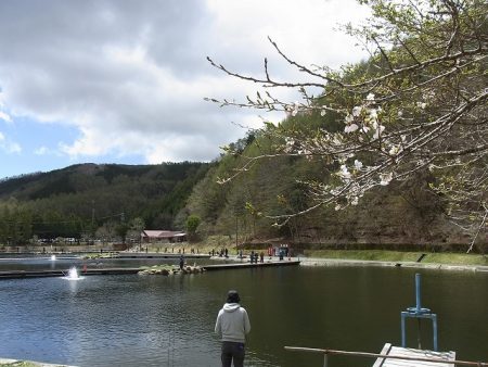 平谷湖フィッシングスポット 釣果