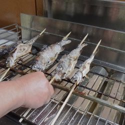 平谷湖フィッシングスポット 釣果