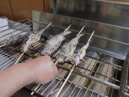 平谷湖フィッシングスポット 釣果