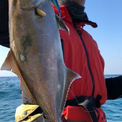 あみや渡船 JIGBOY 釣果