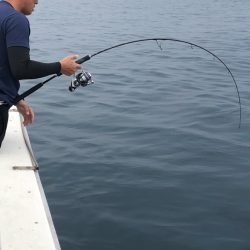 あみや渡船 JIGBOY 釣果