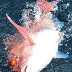 あみや渡船 JIGBOY 釣果