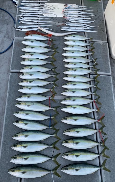 SeaRide(シーライド) 釣果