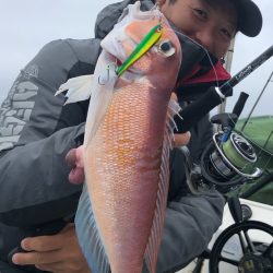 「LaGooN」蒼陽丸 日和号 釣果
