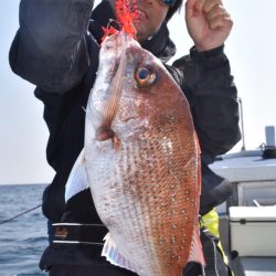 渡船屋たにぐち 釣果