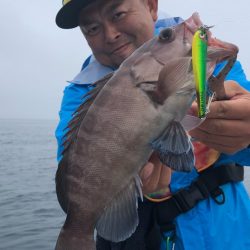 「LaGooN」蒼陽丸 日和号 釣果