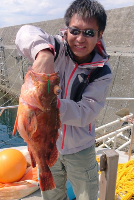 ブルースフィッシングサービス 釣果