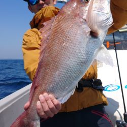 ブルースフィッシングサービス 釣果