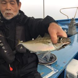 ヤザワ渡船 釣果
