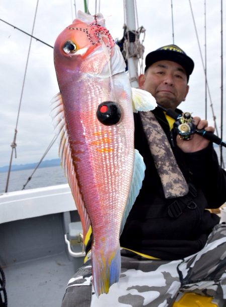 渡船屋たにぐち 釣果