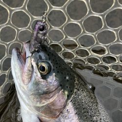 平谷湖フィッシングスポット 釣果