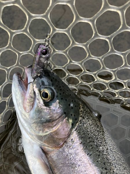 平谷湖フィッシングスポット 釣果