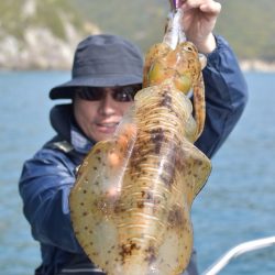 渡船屋たにぐち 釣果
