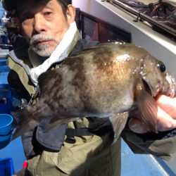 ヤザワ渡船 釣果
