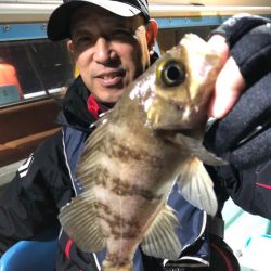 ヤザワ渡船 釣果