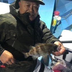 ヤザワ渡船 釣果