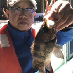 ヤザワ渡船 釣果