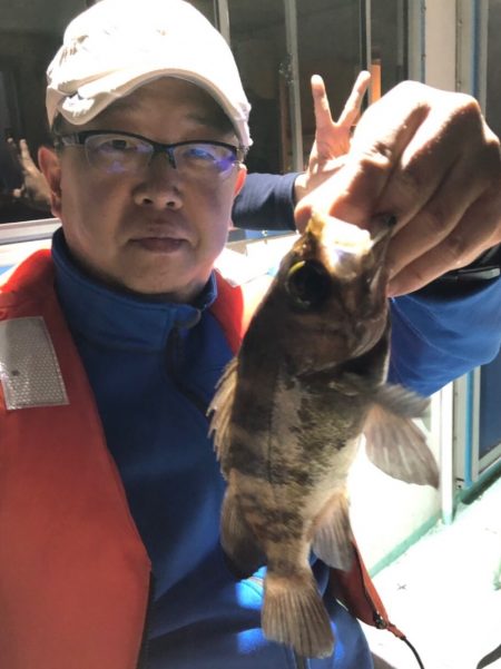 ヤザワ渡船 釣果