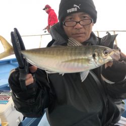 ヤザワ渡船 釣果