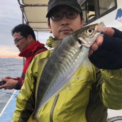 ヤザワ渡船 釣果