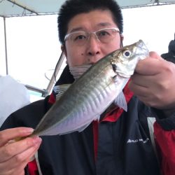 ヤザワ渡船 釣果