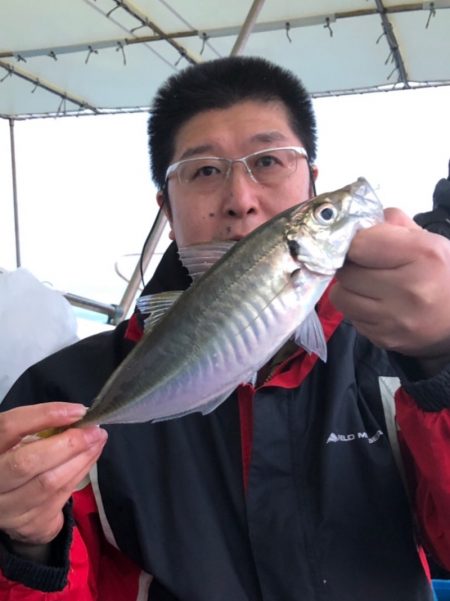 ヤザワ渡船 釣果