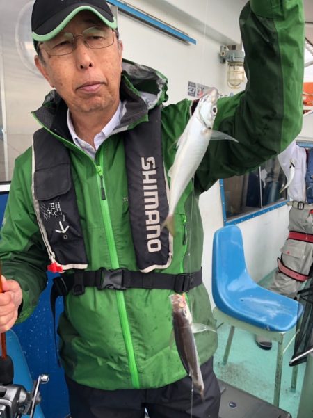 ヤザワ渡船 釣果