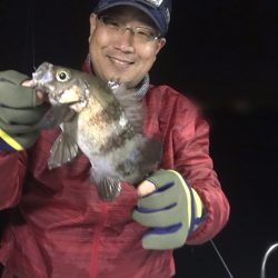 遊漁船メテオ 釣果