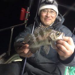 遊漁船メテオ 釣果