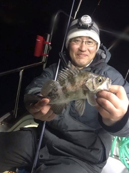 遊漁船メテオ 釣果