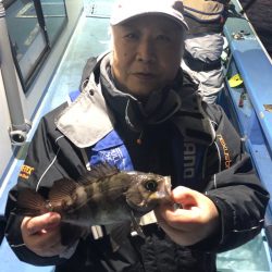 ヤザワ渡船 釣果