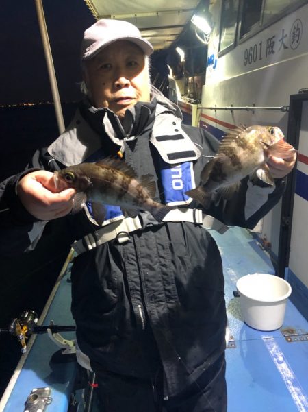 ヤザワ渡船 釣果