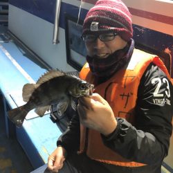 ヤザワ渡船 釣果