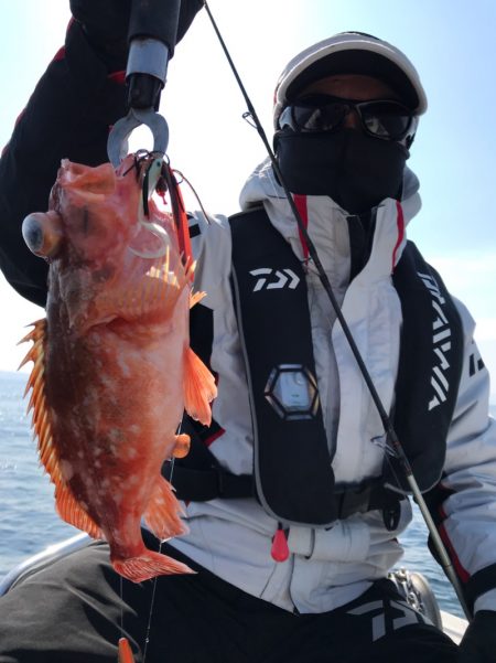 龍神丸(鹿児島) 釣果