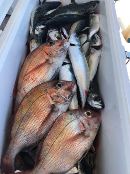 龍神丸(鹿児島) 釣果