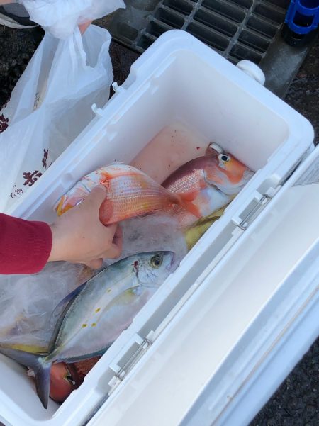 あみや渡船 JIGBOY 釣果