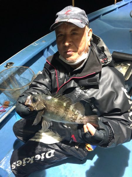 ヤザワ渡船 釣果