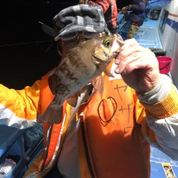 ヤザワ渡船 釣果