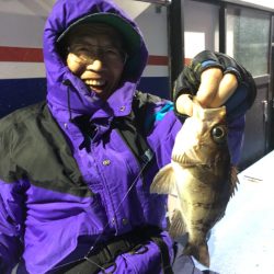 ヤザワ渡船 釣果