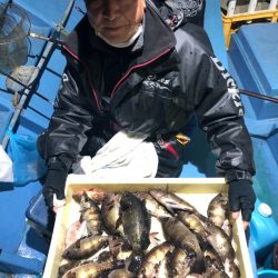 ヤザワ渡船 釣果