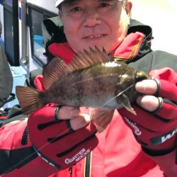 ヤザワ渡船 釣果