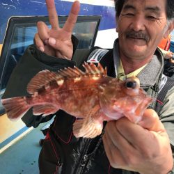 ヤザワ渡船 釣果