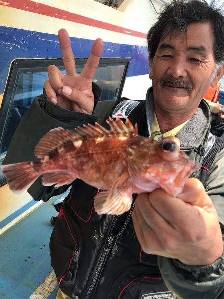 ヤザワ渡船 釣果