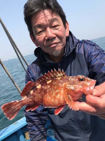 ヤザワ渡船 釣果