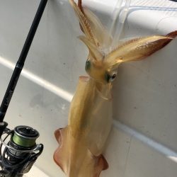 「LaGooN」蒼陽丸 日和号 釣果