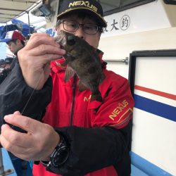 ヤザワ渡船 釣果