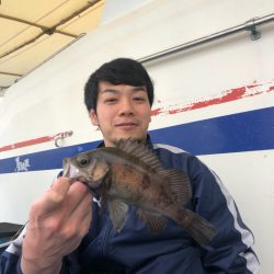 ヤザワ渡船 釣果