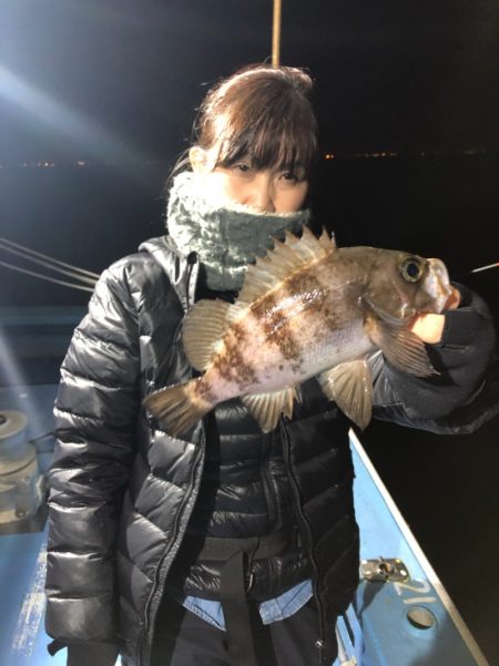 ヤザワ渡船 釣果