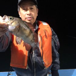 ヤザワ渡船 釣果