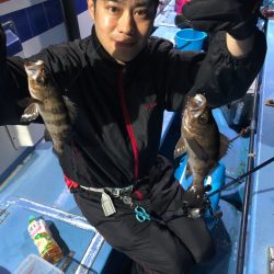 ヤザワ渡船 釣果